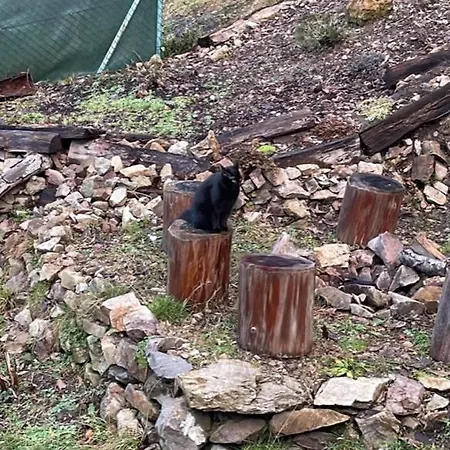 Pri Ceresni “moja Srdcovka”